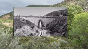 findadeath_ScreenShot20200501at85434PM--1